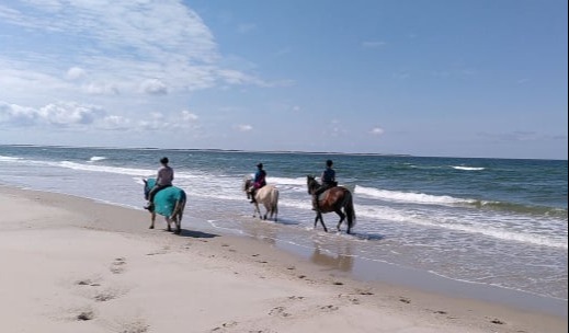 Fasten und Reiten